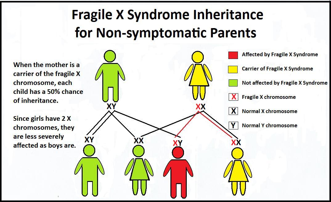 Fragile X Low Incidence Exceptionalities